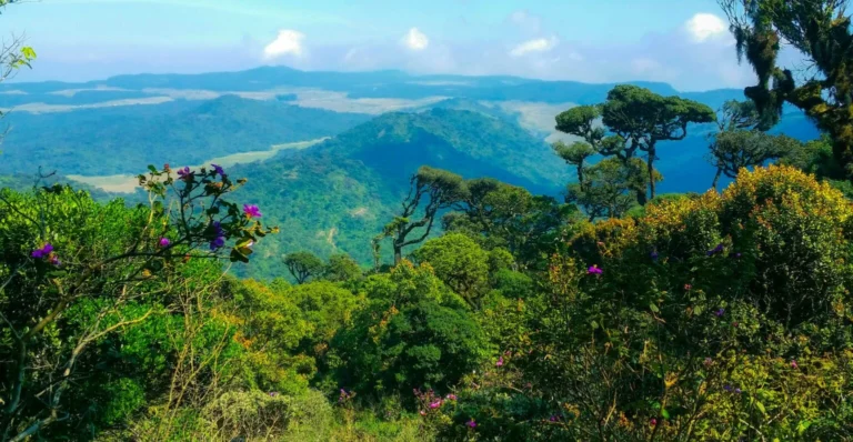 Nuwara Eliya, Sri Lanka
