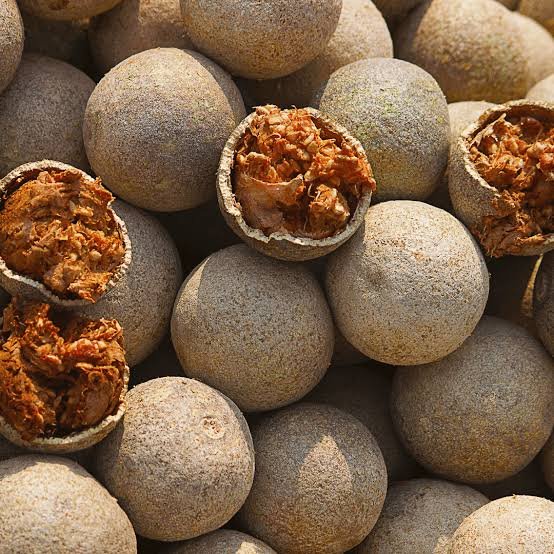 Wood Apple (Divul)