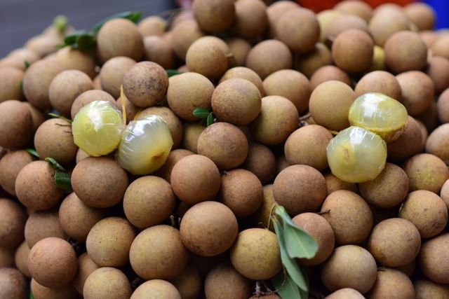 Langsat (Gaduguda) 