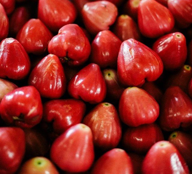 Rose Apple / Jambu, a seasonal fruit in Sri Lanka