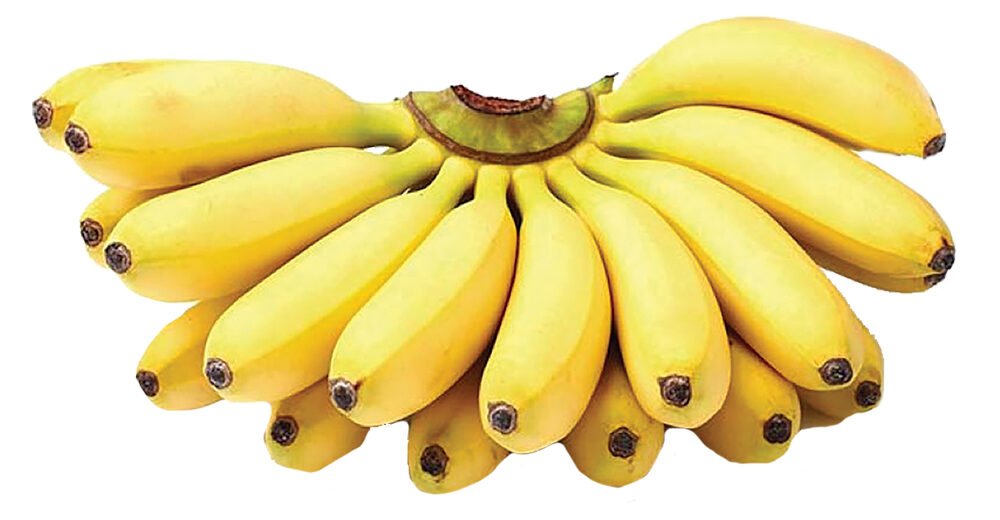 Ambul kesel (Sour Banana)