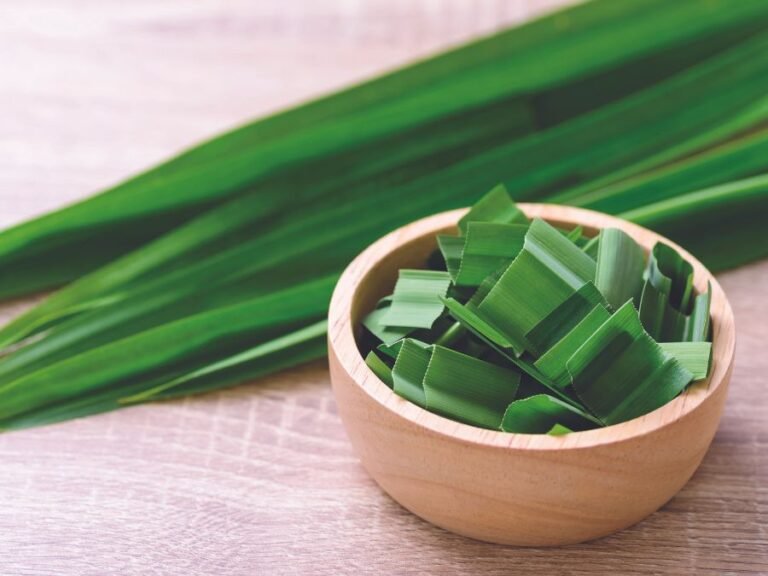 Rampe or Pandan Leaves