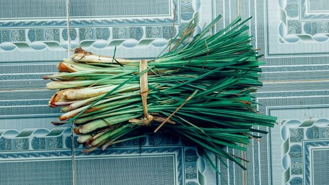 Lemongrass