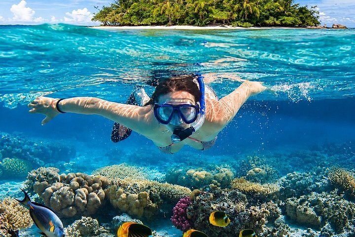 Snorkeling in Pigeon Island
